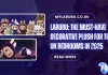 Labubu: The Must-Have Decorative Plush for Trendy UK Bedrooms in 2025